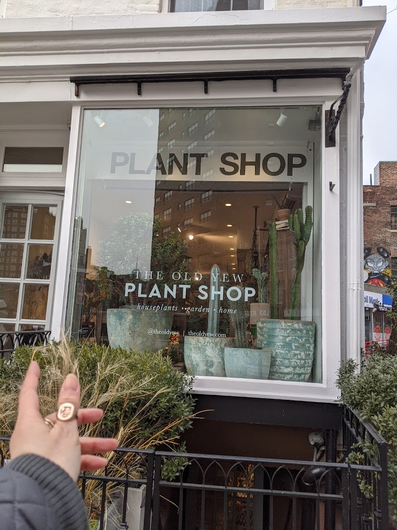 The Old Yew Plant Shop 3