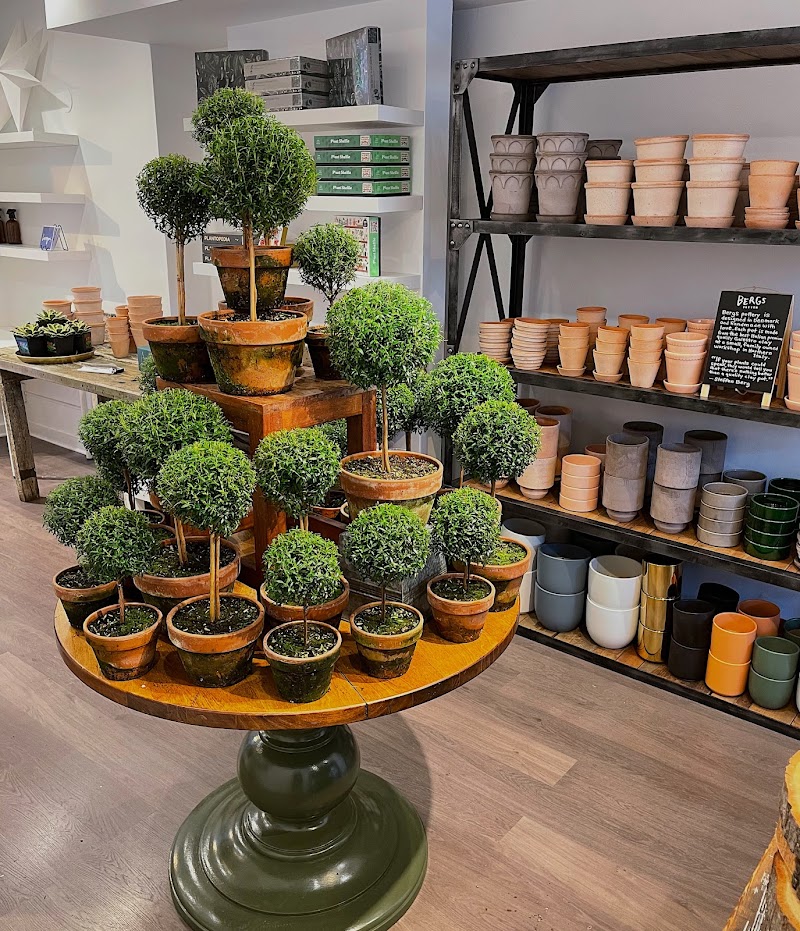 The Old Yew Plant Shop 4